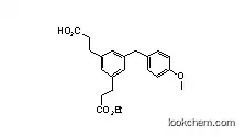 Molecular Structure of 1260817-90-0 (3-(3-(3-ethoxy-3-oxopropyl)-5-(4-methoxybenzyl)phenyl)propanoic acid)
